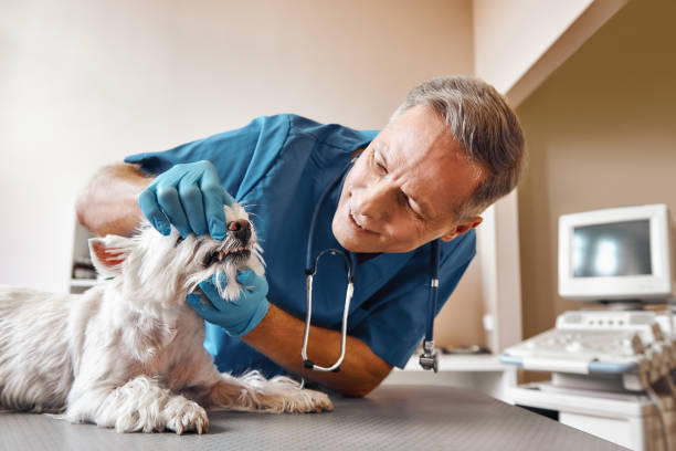 Best Emergency Tooth Extraction in Paris, TX